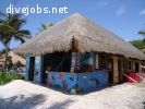 Public Relations for Diving Center in the Caribbean
