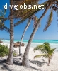 Bahamas DivingCouple/Activities Directors
