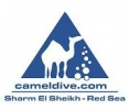 CAMEL DIVE CLUB & HOTEL, Sharm El Sheikh is looking to hire a Sales&Marketing Manager