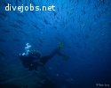 Environmental Scuba Diving