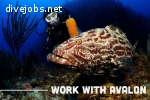 FULL TIME OUTDOOR INDUSTRY SCUBA DIVING/ECO TOURISM SALES REPRESENTATIVE