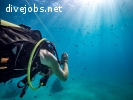 Marine Conservation Research Assistant