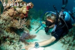 Marine Life Conservation Assistant