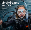 Not got 3,4 or 6 months to work for free? Join us and become a PADI Divemaster faster