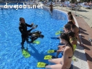 Parttime Divemaster for Poolshows